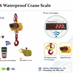 IP66 Waterproof Bluetooth Crane Scale FJ5
